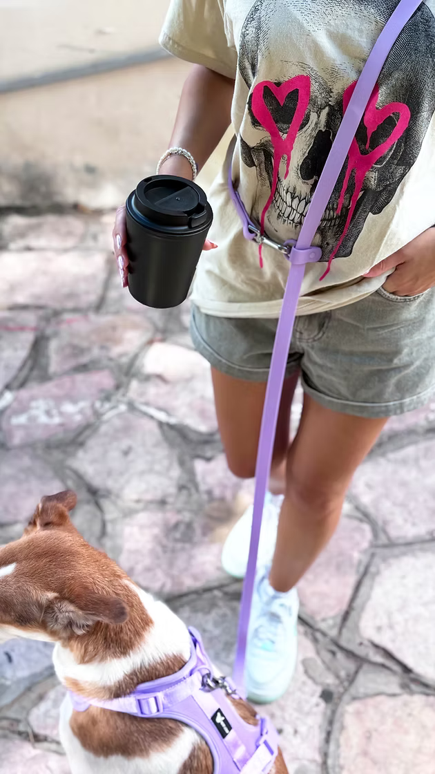 רצועה לכלב "Hands Free" - חווית הליכה מושלמת עם הכלב