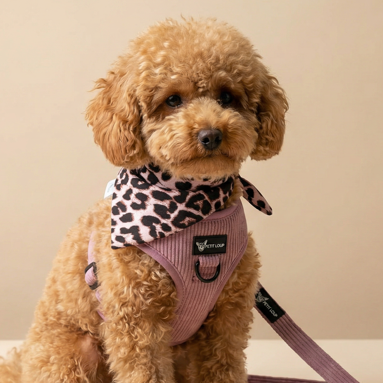 בנדנות ומחממי צוואר