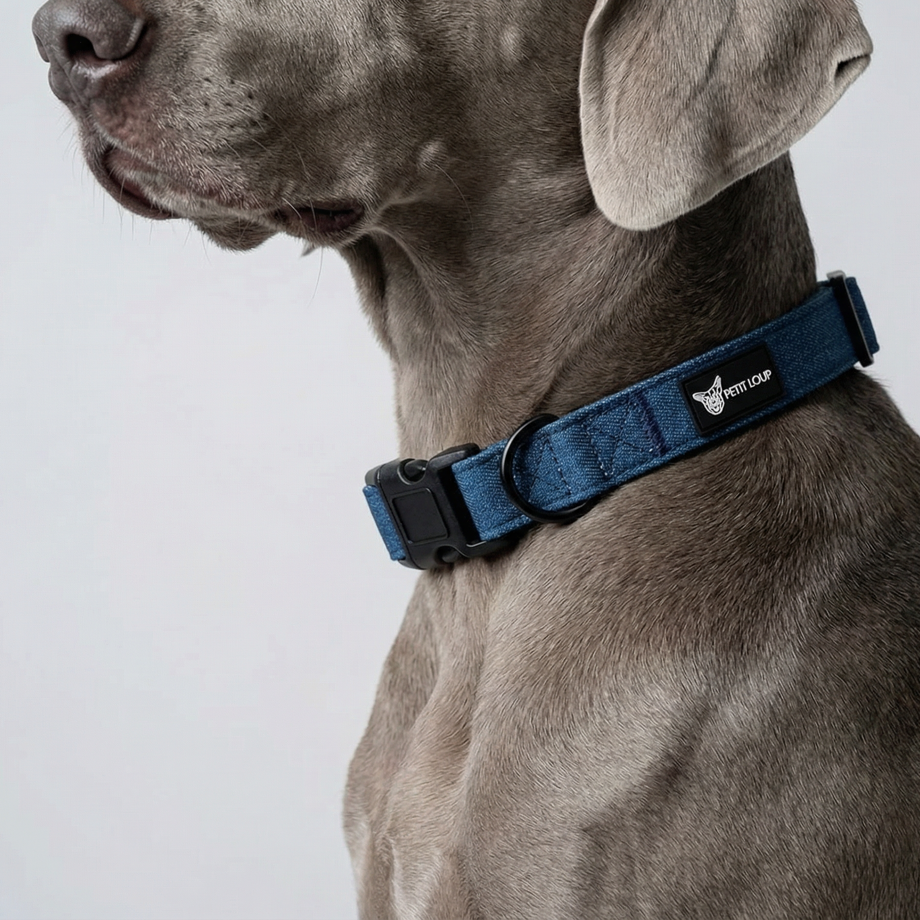קולר לכלב - Denim