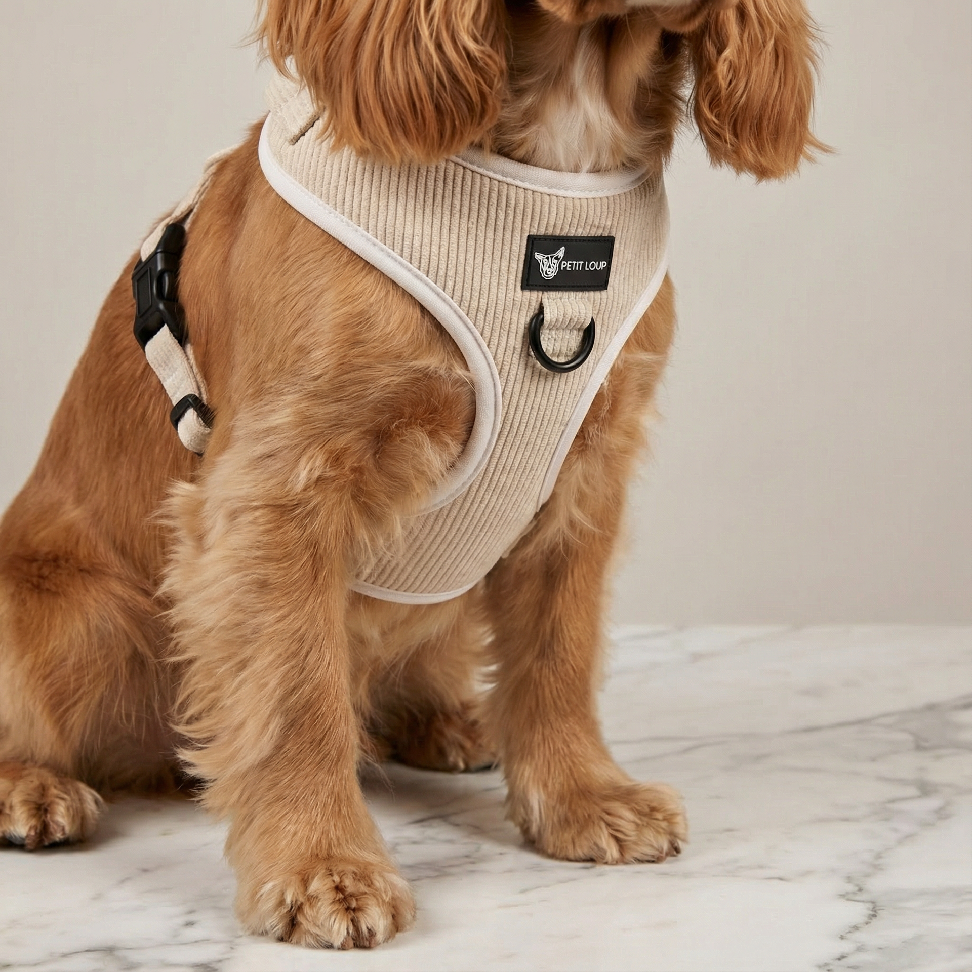 CREAM DREAM סט לכלב