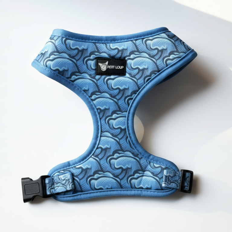 Wave Rider רתמה לכלב