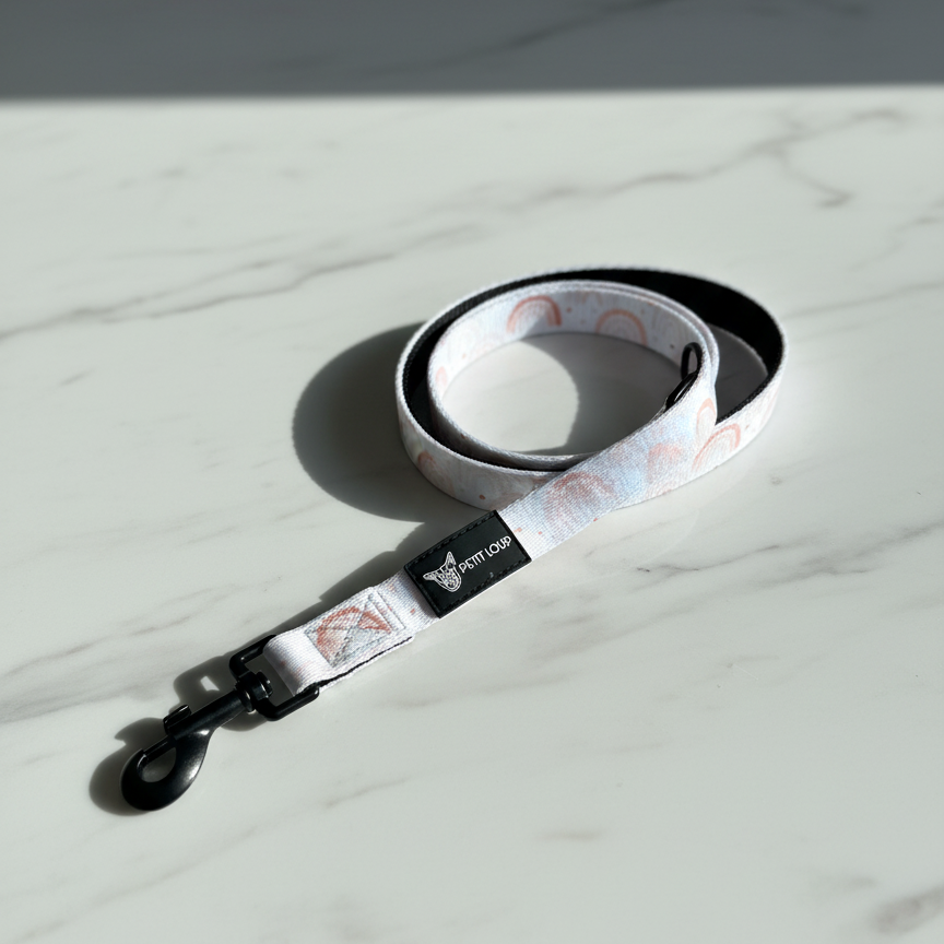 Rainbow Rush רצועה לכלב