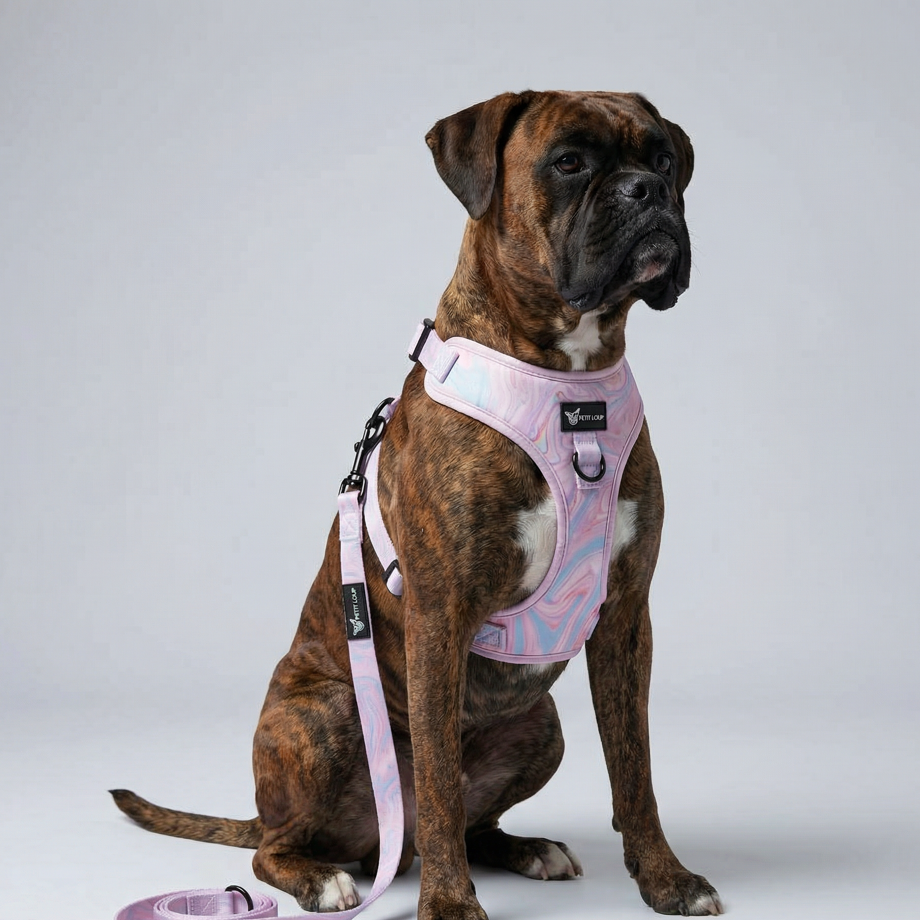 סט לכלב - Rosy Marble