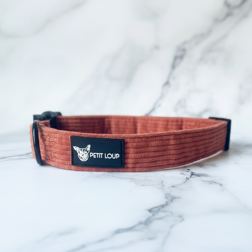 ORANGE CRUSH קולר לכלב