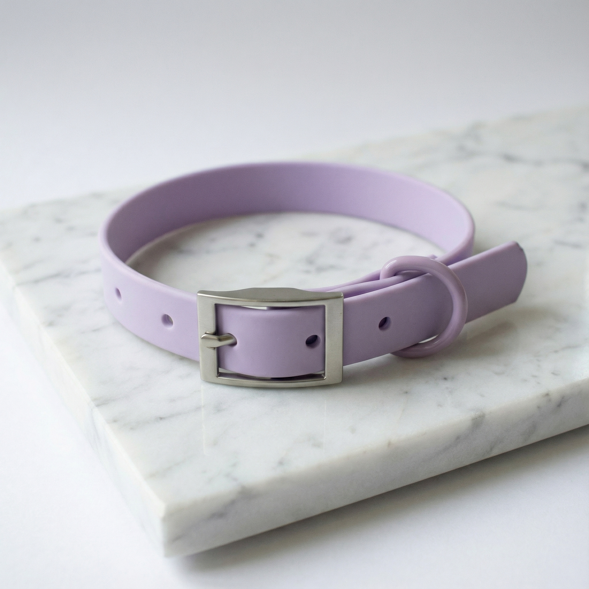 Lavender Haze קולר לכלב