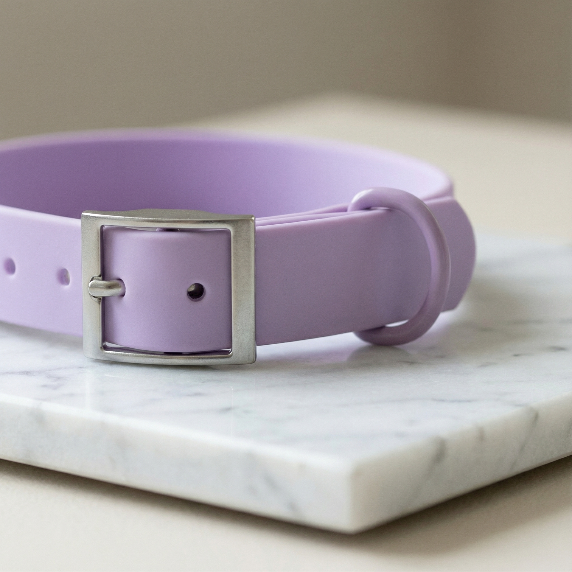 Lavender Haze קולר לכלב