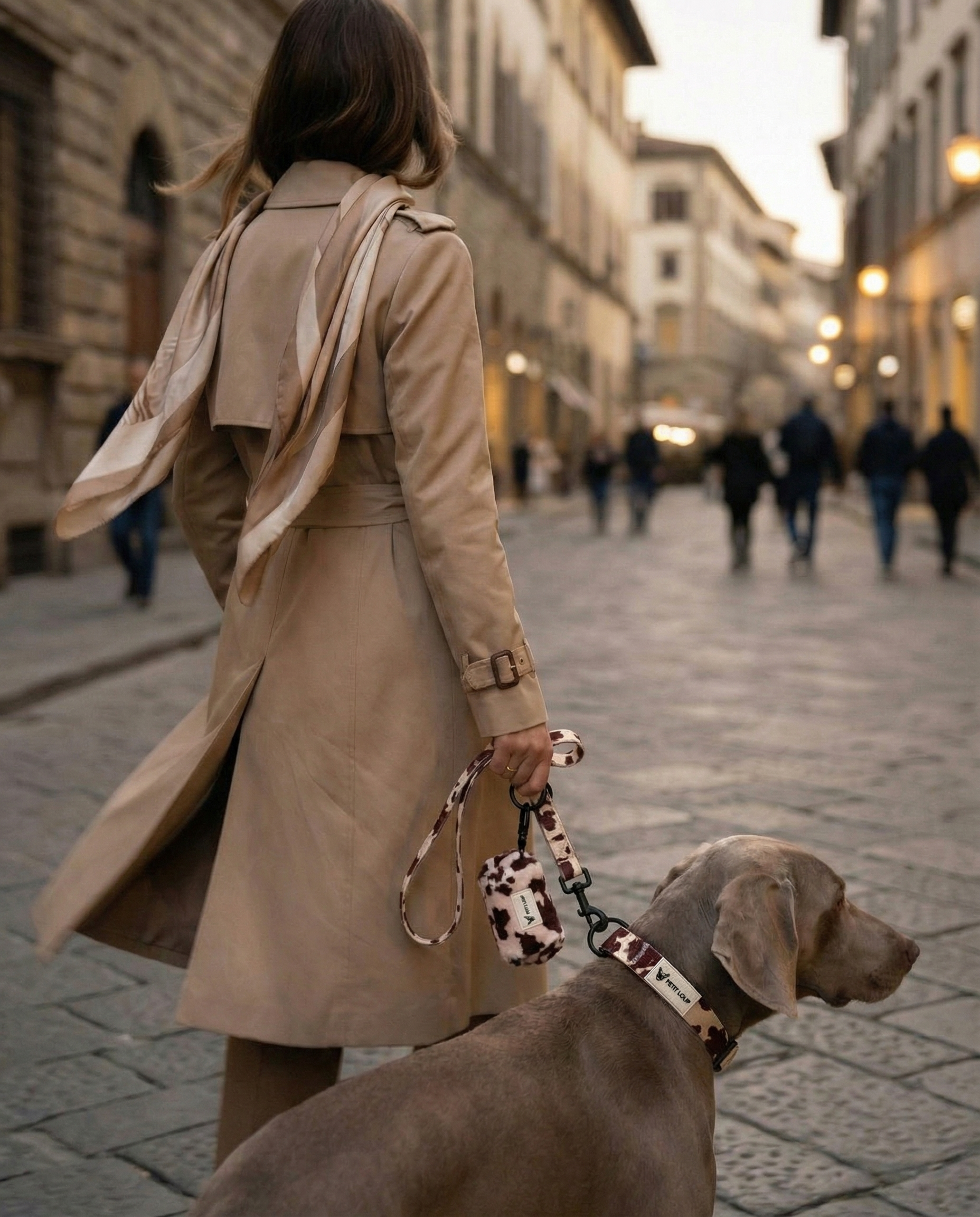 רצועה לכלב - Texas