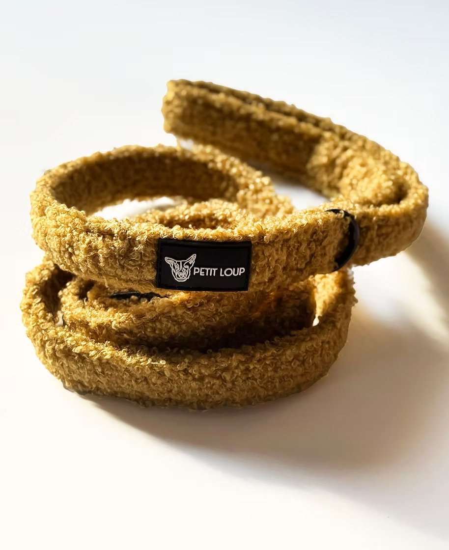 רצועה לכלב - Teddy Bear