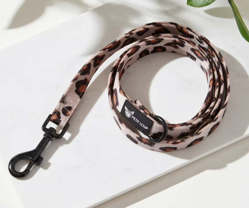 רצועה לכלב Urban Jungle