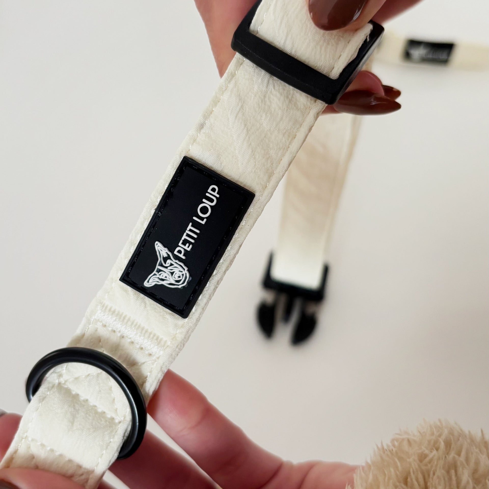 קולר לכלב - מונקו