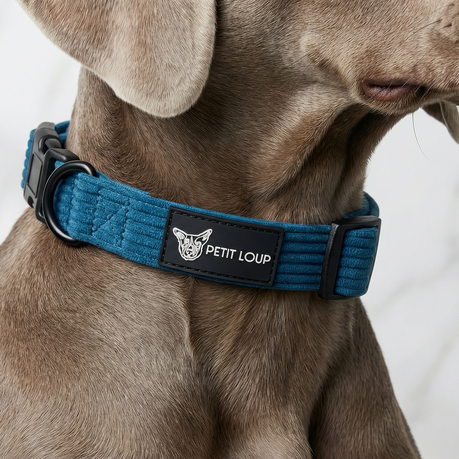 קולר לכלב נייבי