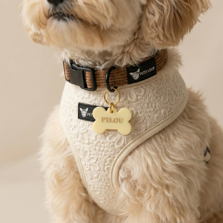 dog harness name tag and collar