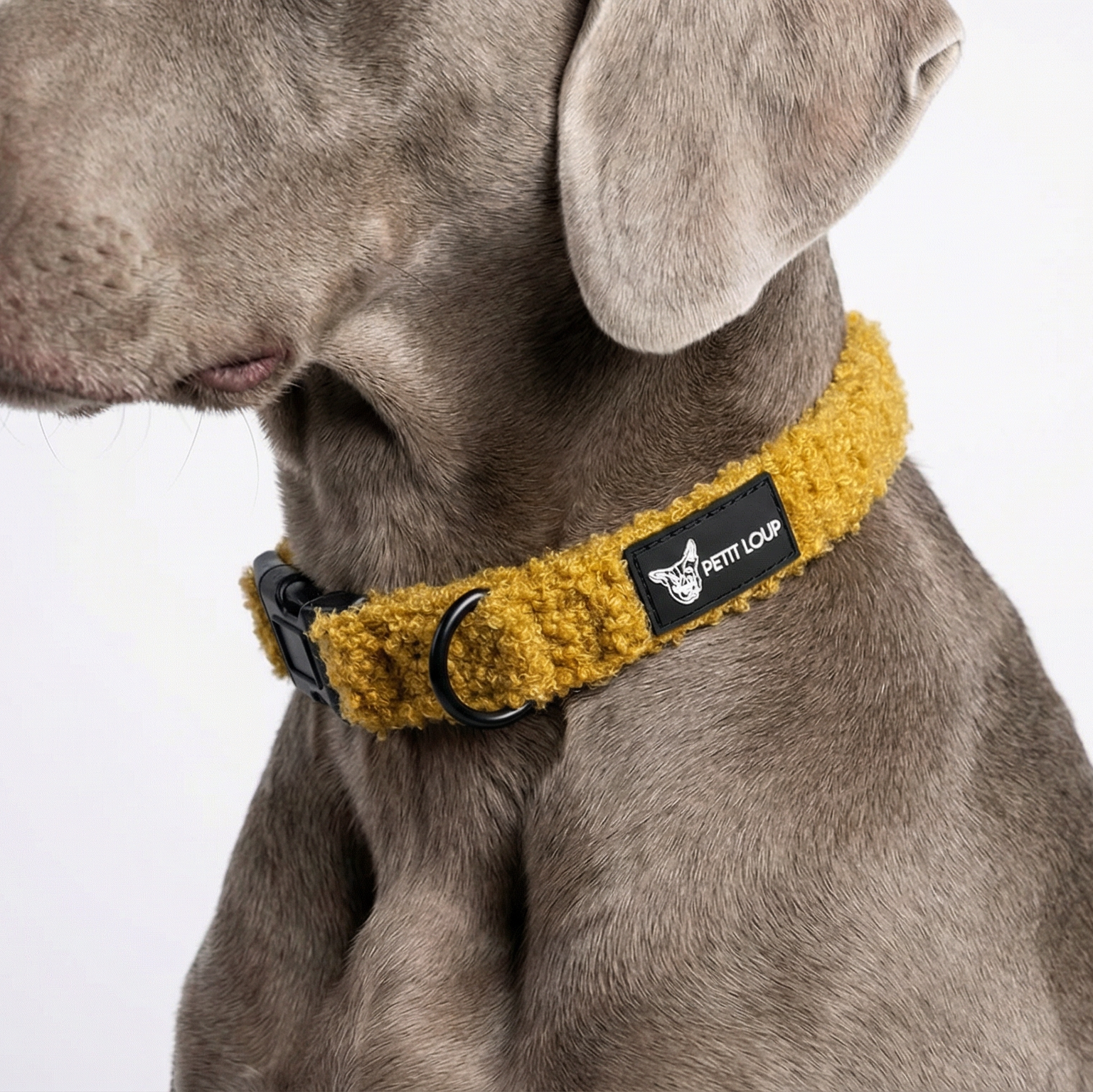 סט לכלב - Honey bee