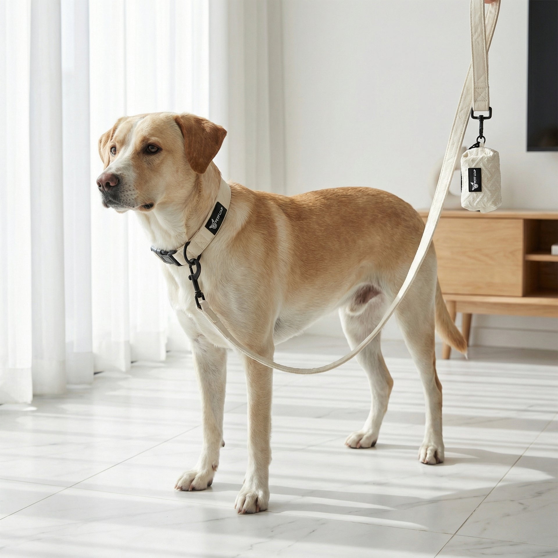 סט לכלב - מונקו - קולר רצועה ופאוץ׳