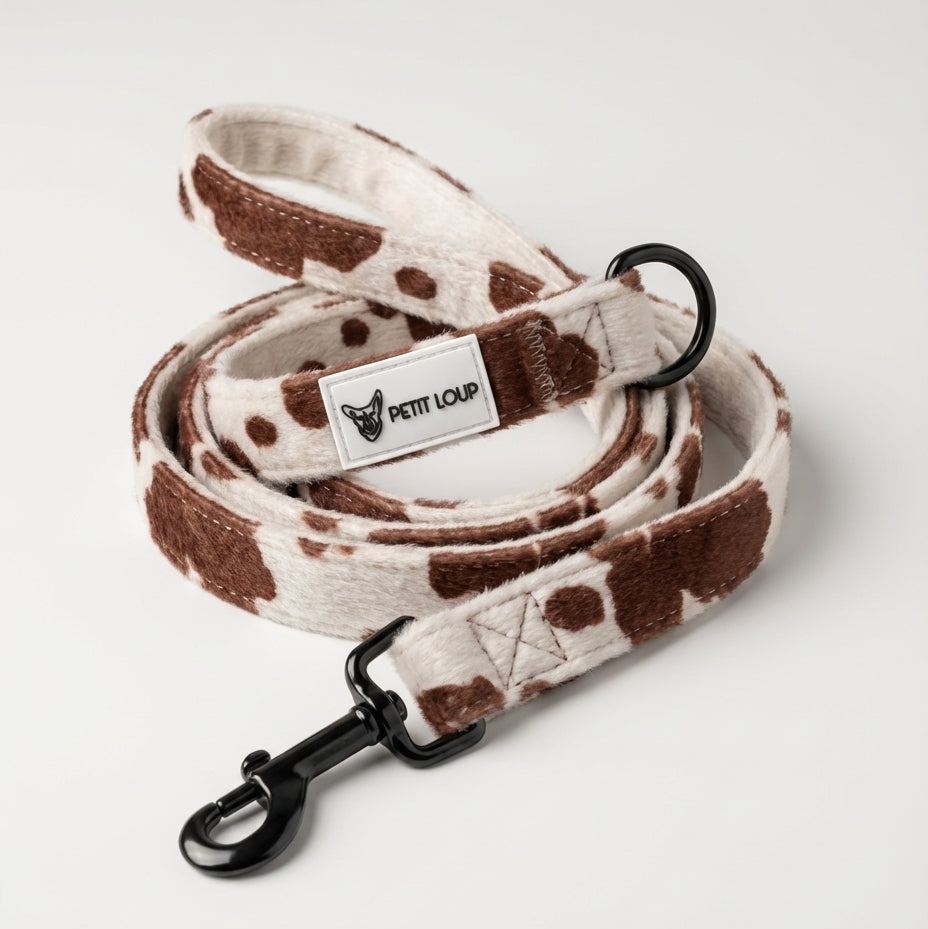 רצועה לכלב - Texas