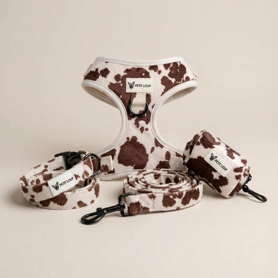 סט לכלב - Texas