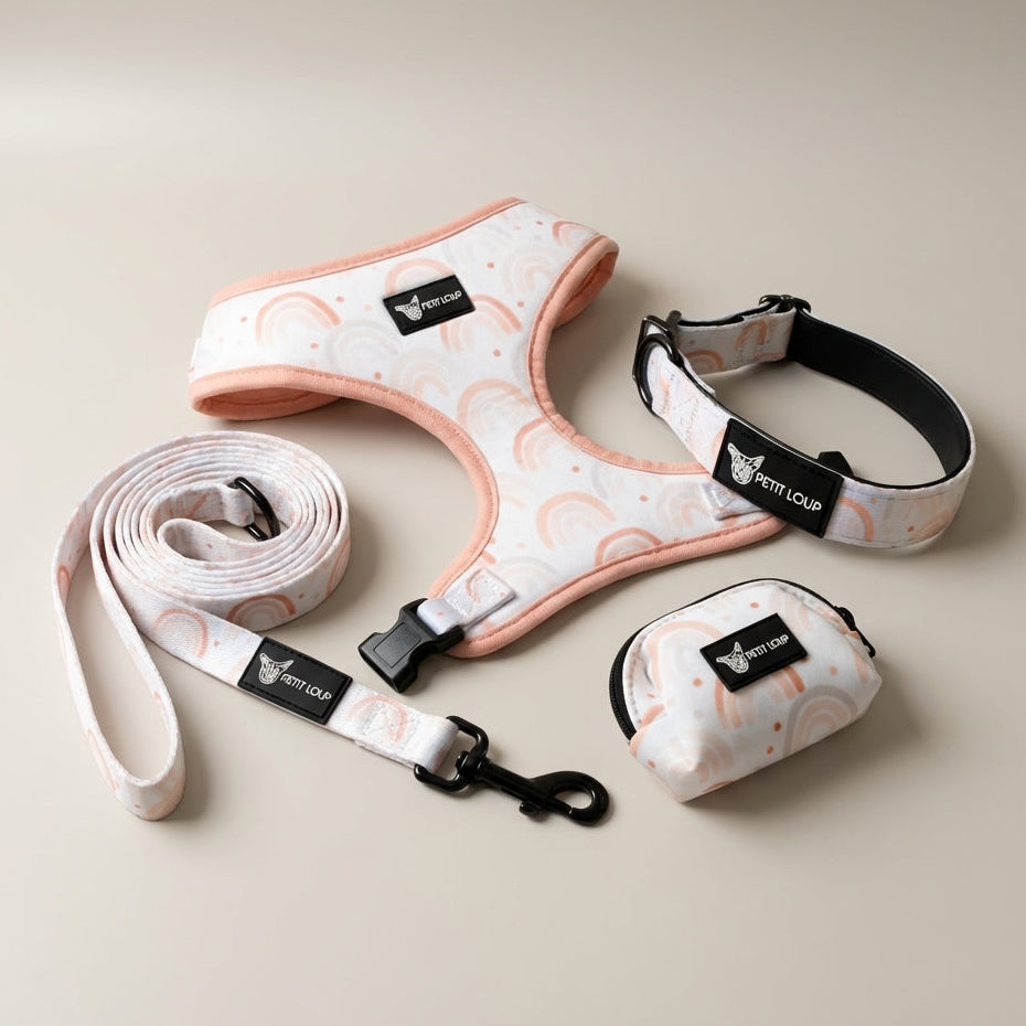 Rainbow Rush - סט לכלב