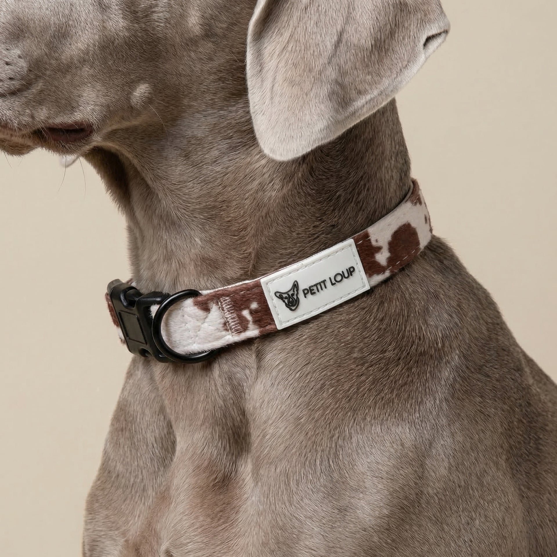 קולר לכלב - Texas