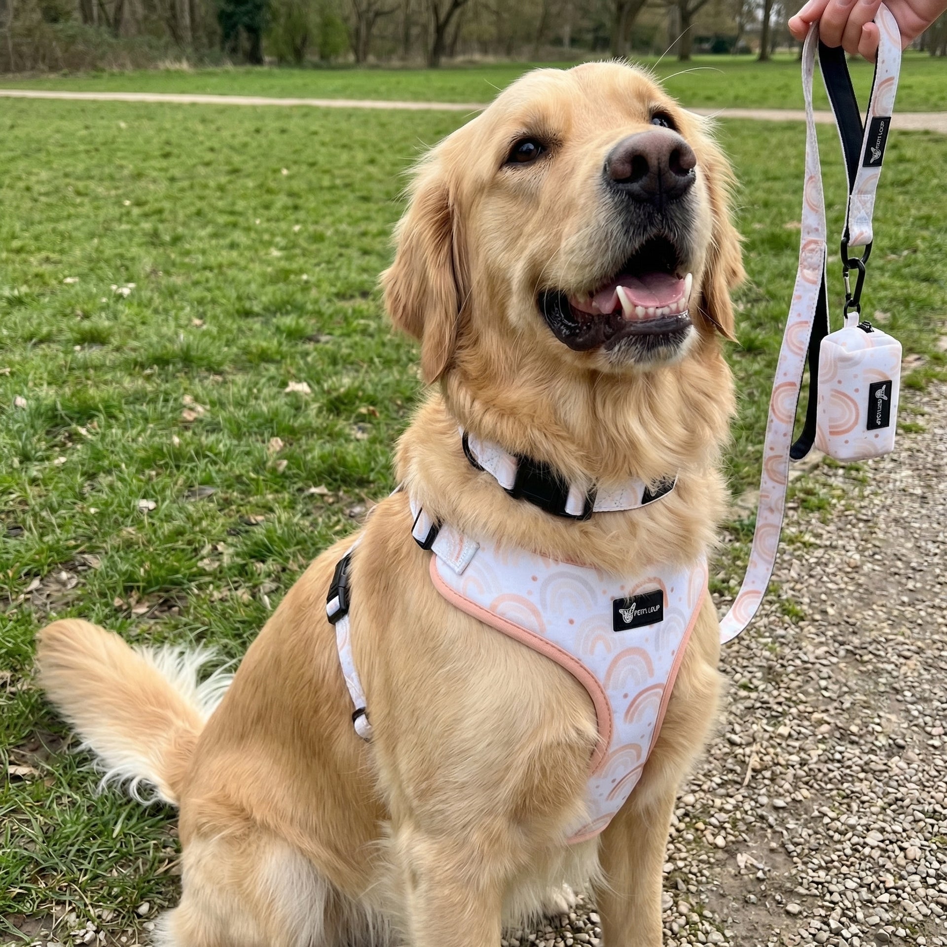 Rainbow Rush - סט לכלב