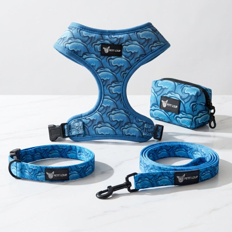 סט לכלב -Wave Rider