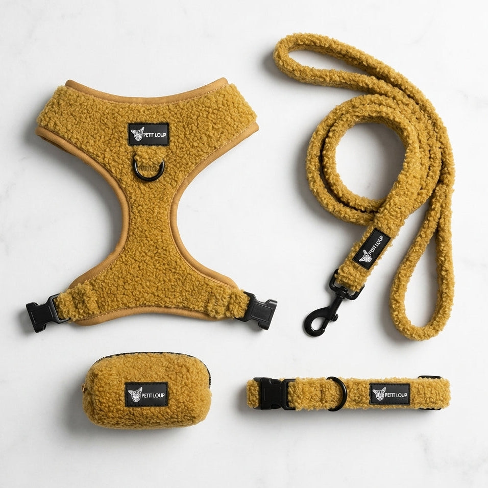 סט לכלב - Teddy Bear